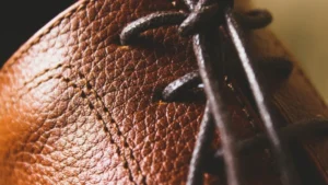 CHAUSSURES-CUIR-ARTICLE-ENTRETIEN-ECLA